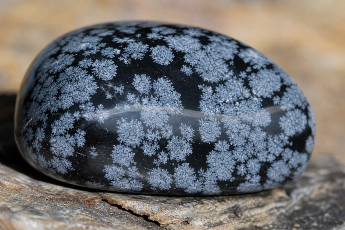 Snowflake Obsidian Has White Crystals Growing