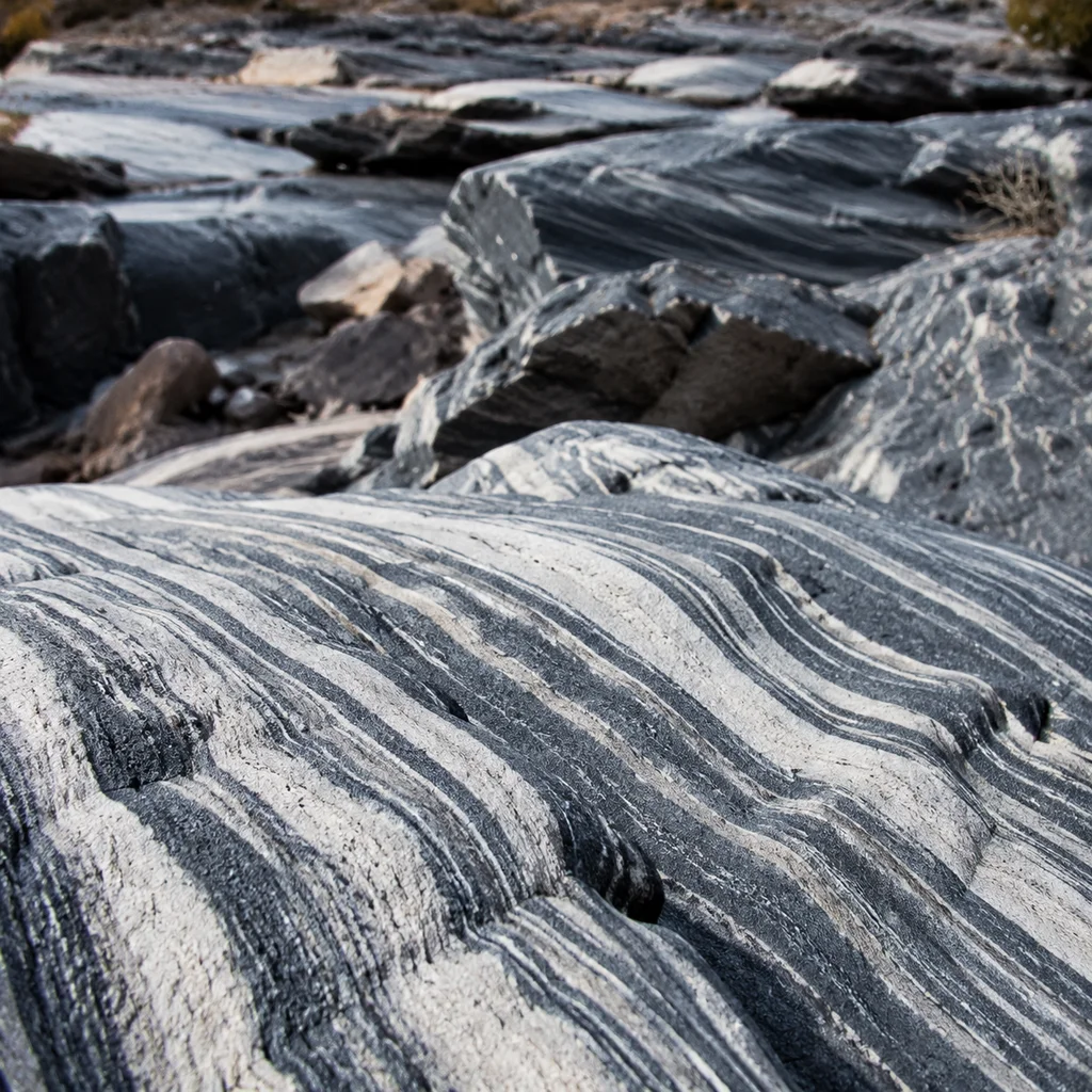 Zebra Stone: Ancient Mud's Striped Secret