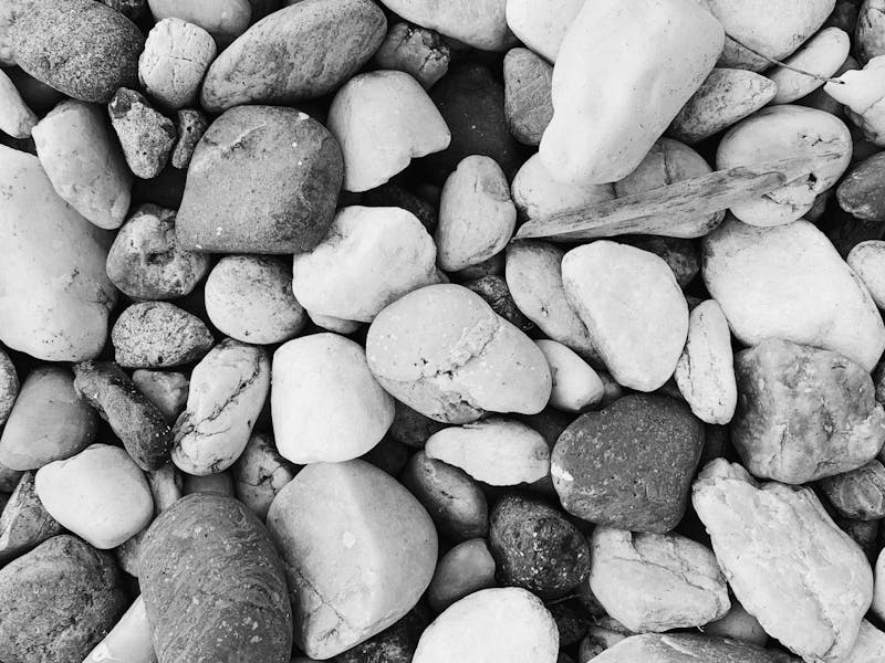 Dalmatian Stone Bracelet: The Spotted Stone That Looks Exactly Like It Sounds