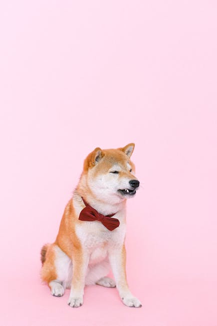 Crystals and Pets: What's Safe, What's Toxic, and How to Keep Everyone Happy