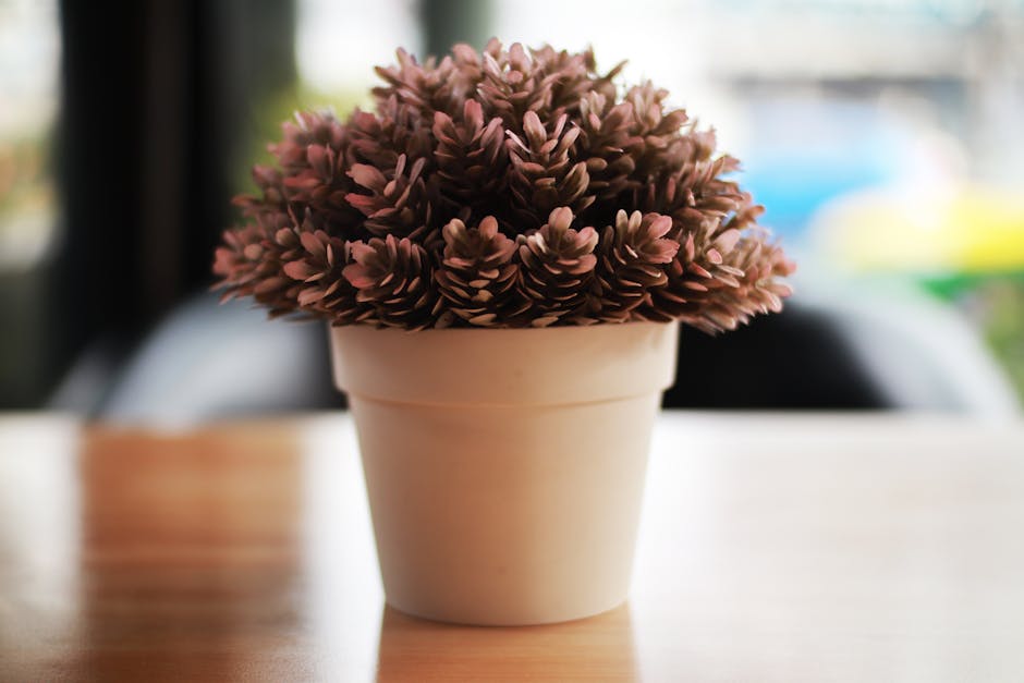 I Rearranged My Entire Apartment With Feng Shui Crystals for 30 Days — Here is What Actually Changed