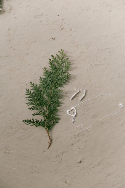 Sterling Silver vs Stainless Steel: Which Is Better for Jewelry?