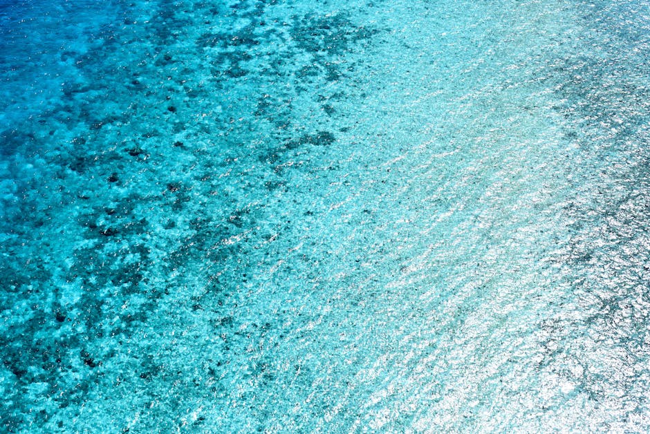 Can You Wear Crystals in the Pool or Ocean: The Honest Answer